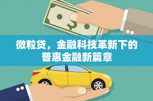 长葛微粒贷，金融科技革新下的普惠金融新篇章