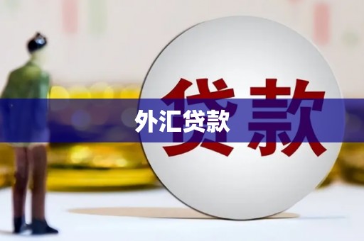 长葛外汇贷款