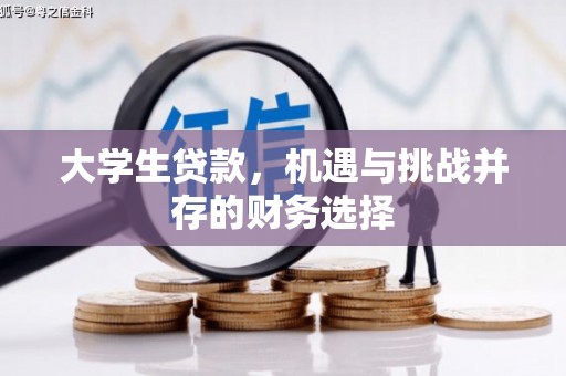 长葛大学生贷款，机遇与挑战并存的财务选择