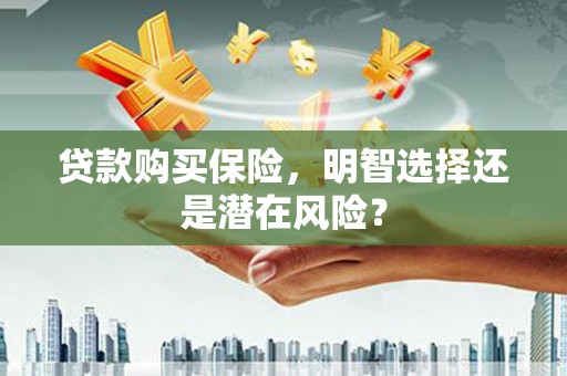 长葛贷款购买保险，明智选择还是潜在风险？