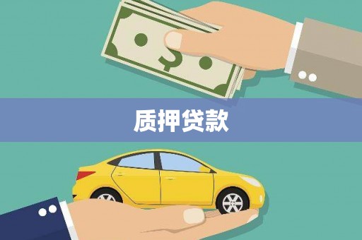 长葛质押贷款