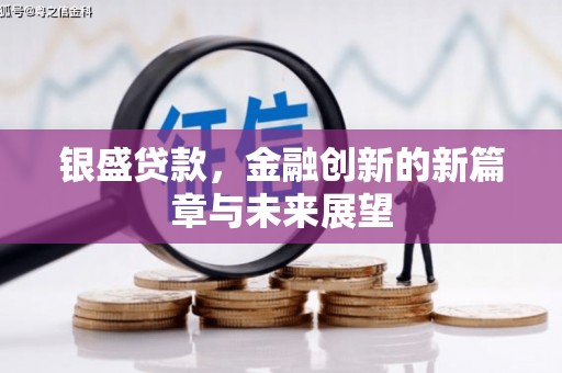 长葛银盛贷款，金融创新的新篇章与未来展望