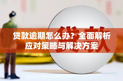 长葛贷款逾期怎么办？全面解析应对策略与解决方案