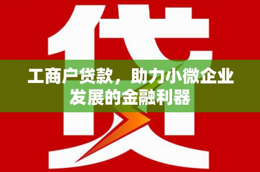 长葛工商户贷款，助力小微企业发展的金融利器