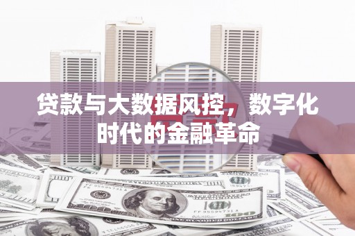 长葛贷款与大数据风控，数字化时代的金融革命