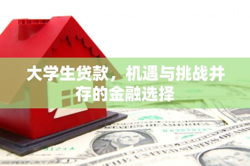 长葛大学生贷款，机遇与挑战并存的金融选择