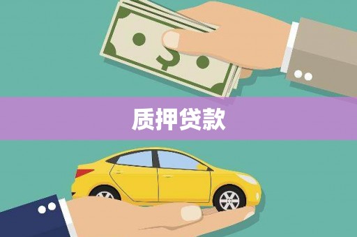 长葛质押贷款