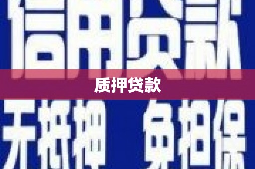 长葛质押贷款