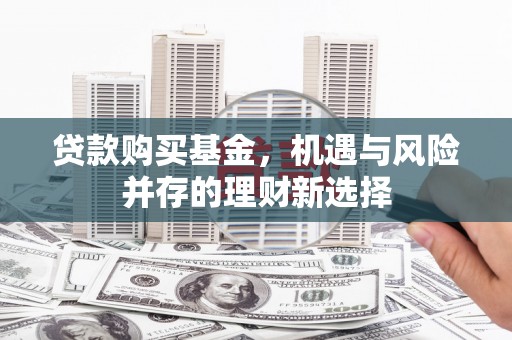 长葛贷款购买基金，机遇与风险并存的理财新选择