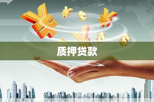 长葛质押贷款