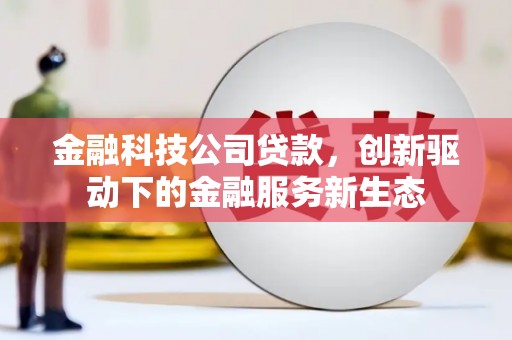 长葛金融科技公司贷款，创新驱动下的金融服务新生态