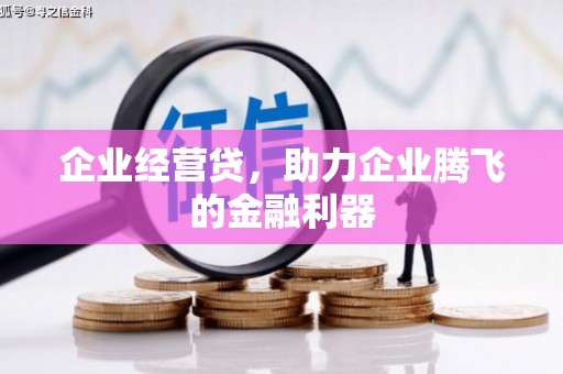 长葛企业经营贷，助力企业腾飞的金融利器