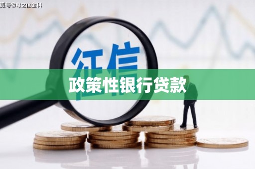 长葛政策性银行贷款