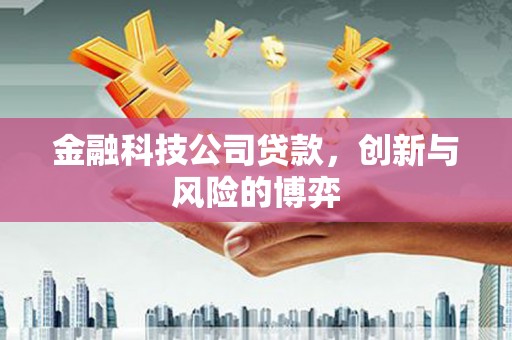 长葛金融科技公司贷款，创新与风险的博弈