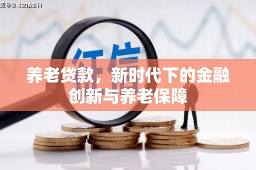 长葛养老贷款，新时代下的金融创新与养老保障