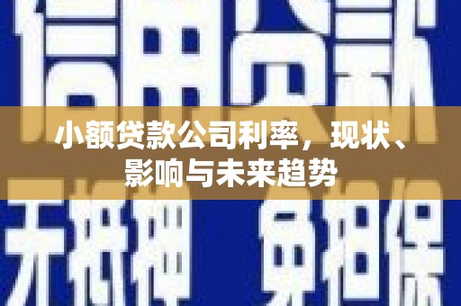 长葛小额贷款公司利率，现状、影响与未来趋势
