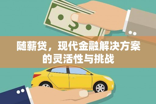 长葛随薪贷，现代金融解决方案的灵活性与挑战