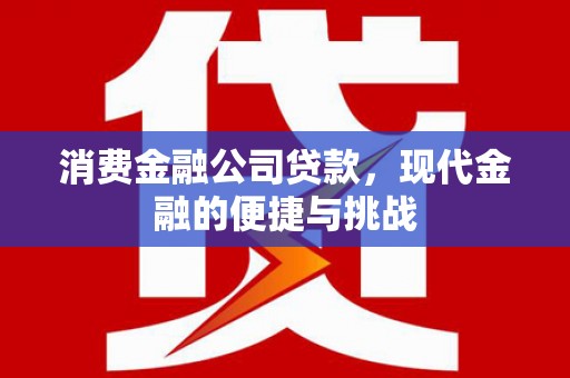 长葛消费金融公司贷款，现代金融的便捷与挑战