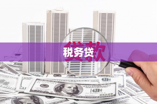 长葛税务贷
