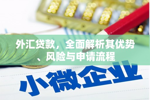 长葛外汇贷款，全面解析其优势、风险与申请流程