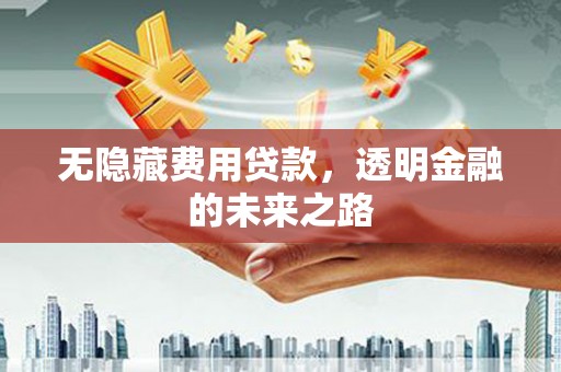 长葛无隐藏费用贷款，透明金融的未来之路