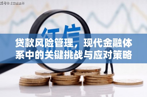 长葛贷款风险管理，现代金融体系中的关键挑战与应对策略