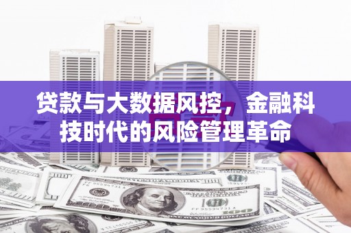 长葛贷款与大数据风控，金融科技时代的风险管理革命