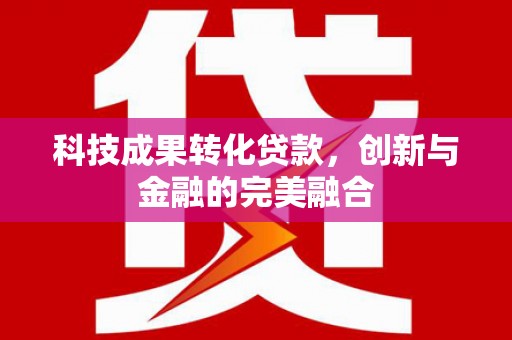 长葛科技成果转化贷款，创新与金融的完美融合