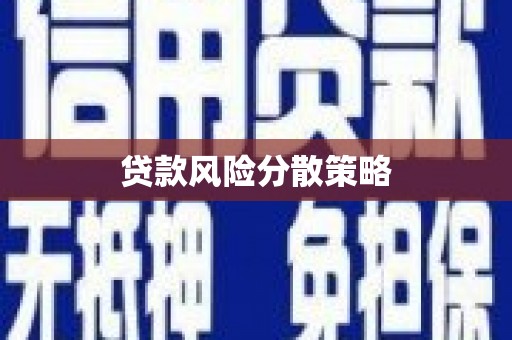长葛贷款风险分散策略