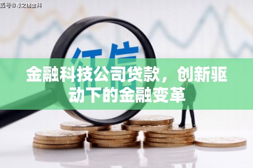 长葛金融科技公司贷款，创新驱动下的金融变革