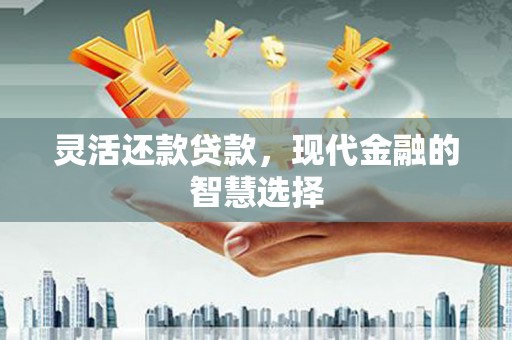 长葛灵活还款贷款，现代金融的智慧选择