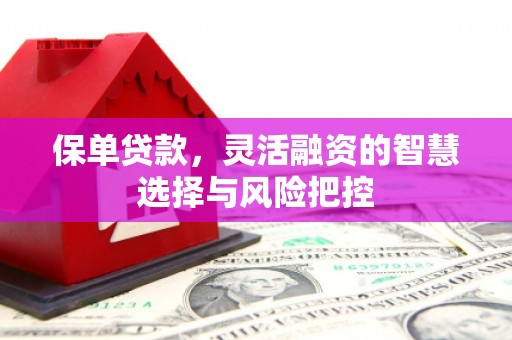 长葛保单贷款，灵活融资的智慧选择与风险把控