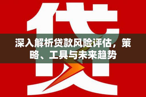 长葛深入解析贷款风险评估，策略、工具与未来趋势