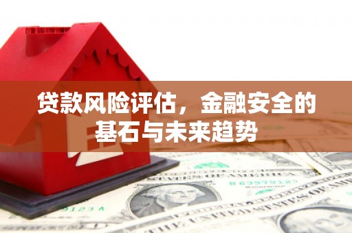 长葛贷款风险评估，金融安全的基石与未来趋势