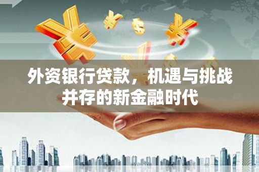 长葛外资银行贷款，机遇与挑战并存的新金融时代