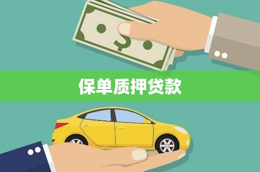 长葛保单质押贷款