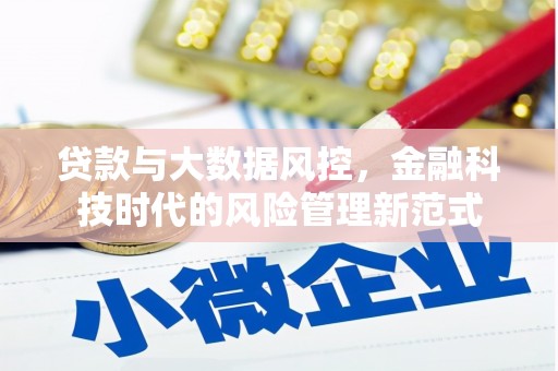长葛贷款与大数据风控，金融科技时代的风险管理新范式