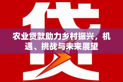 长葛农业贷款助力乡村振兴，机遇、挑战与未来展望