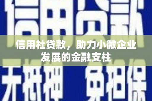 长葛信用社贷款，助力小微企业发展的金融支柱