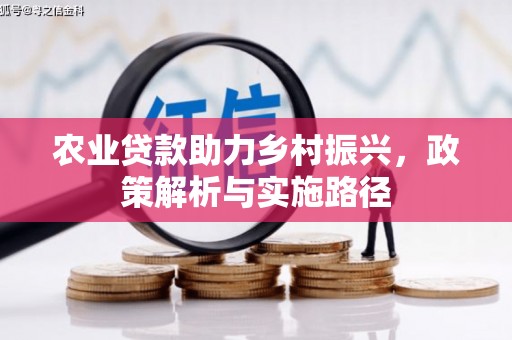 长葛农业贷款助力乡村振兴，政策解析与实施路径