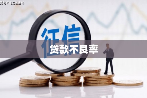 长葛贷款不良率