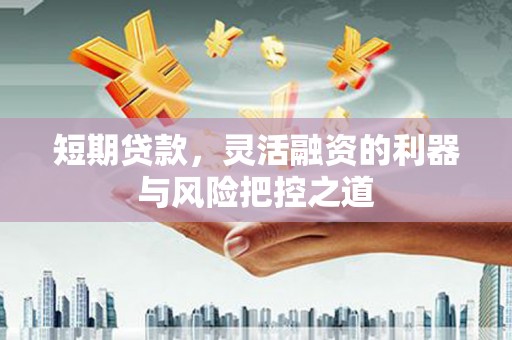 长葛短期贷款，灵活融资的利器与风险把控之道