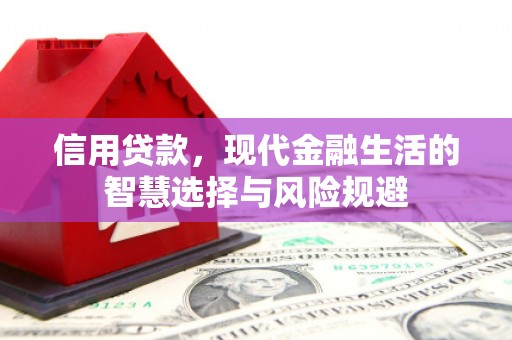 长葛信用贷款，现代金融生活的智慧选择与风险规避