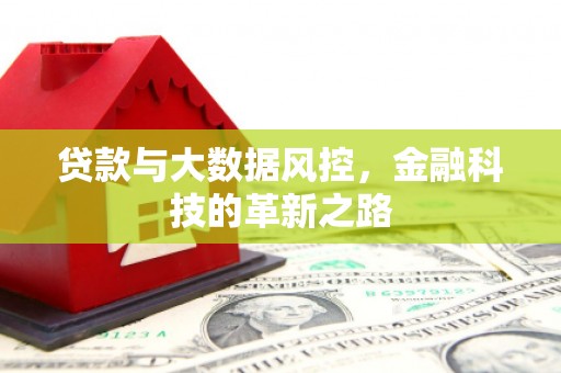 长葛贷款与大数据风控，金融科技的革新之路