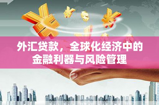 长葛外汇贷款，全球化经济中的金融利器与风险管理