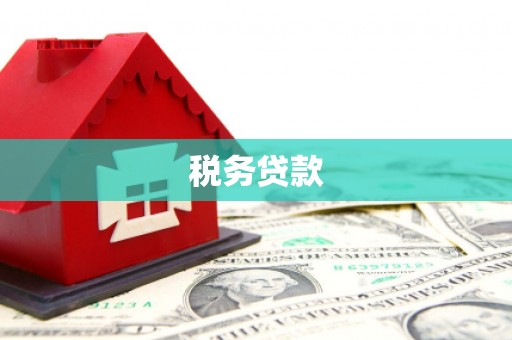 长葛税务贷款