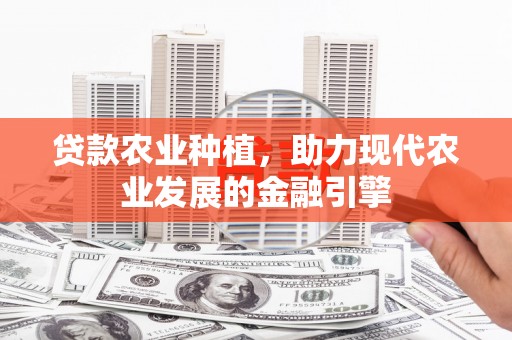 长葛贷款农业种植，助力现代农业发展的金融引擎
