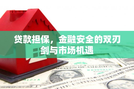 长葛贷款担保，金融安全的双刃剑与市场机遇