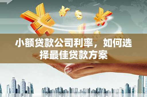 长葛小额贷款公司利率，如何选择最佳贷款方案