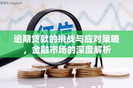 长葛逾期贷款的挑战与应对策略，金融市场的深度解析